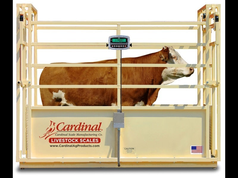 Cardinal SLS Single Animal Livestock Scale 30" x 96"