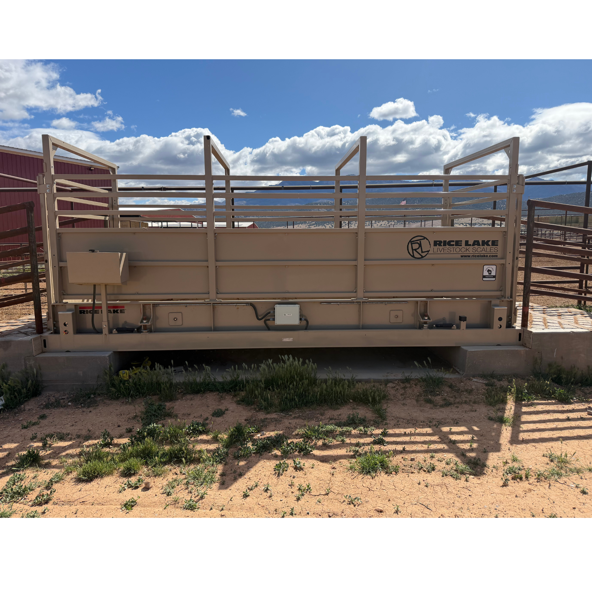 Used 2024 Rice Lake MAS-LS 19x8 Stationary Livestock Scale - For Sale In Utah