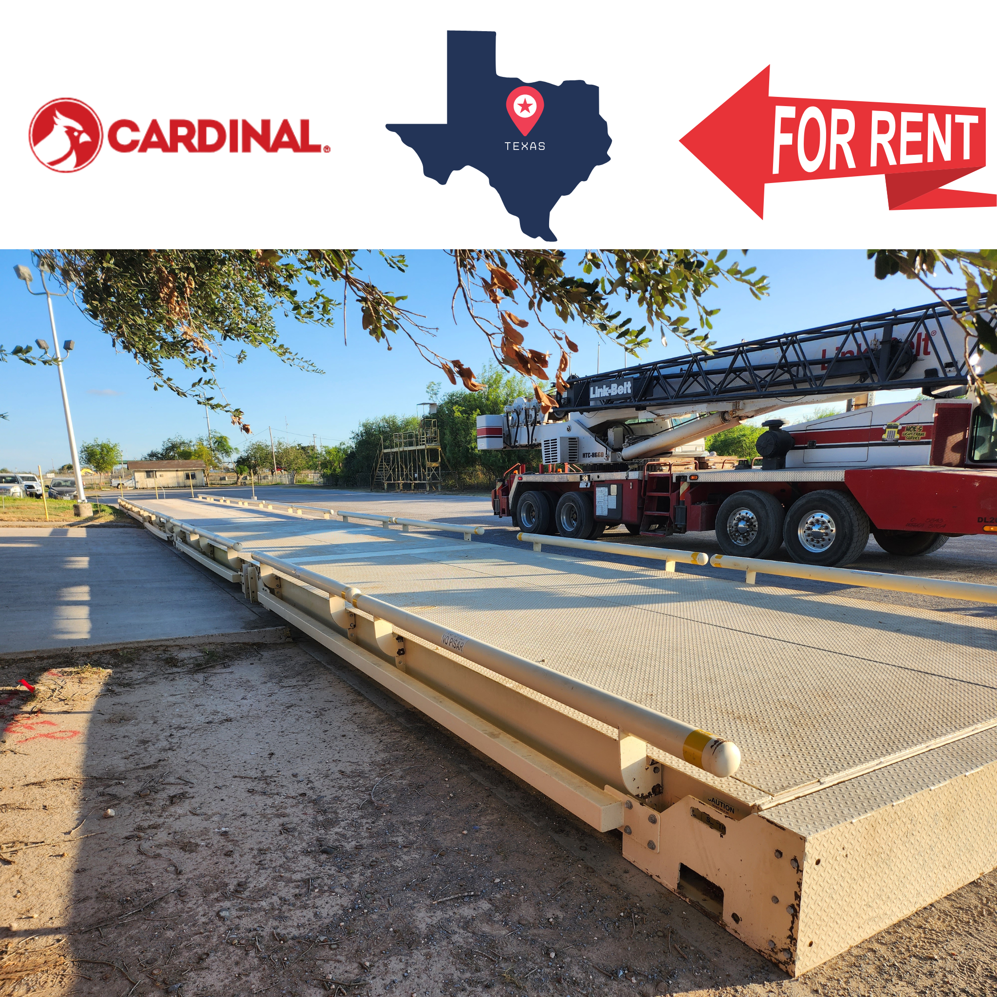 Rental - Cardinal 70x11 Fully Digital Portable Scale with Guiderails, Texas