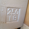 Like New Rice Lake 250lb Cast Iron Test Weights, 2 Available - For Sale in Florida