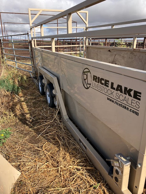 Used Rice Lake MAS-M Mobile Double Axle Livestock Scale 8' x 18' - For Sale in Texas