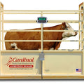 Cardinal SLS Single Animal Livestock Scale 30" x 96"