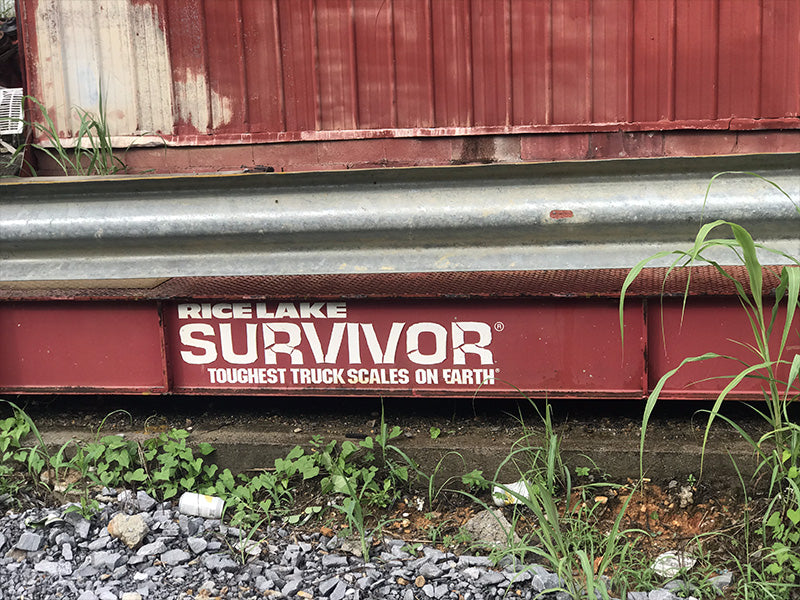 Used Rice Lake EZ2411-ST-60-OTR Steel Deck Truck Scale Package, 24 x 11, 90k lb Capacity - For Sale in Kentucky