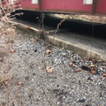 Used Rice Lake OTR Steel Deck Truck Scale 70 x 11 - For Sale in Kentucky